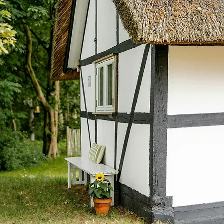 Romantic Nights Under The Thatched Roof *