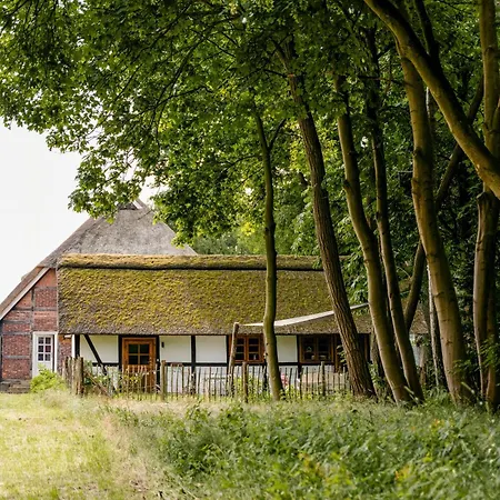 Romantic Nights Under The Thatched Roof Holiday home Scharnebeck