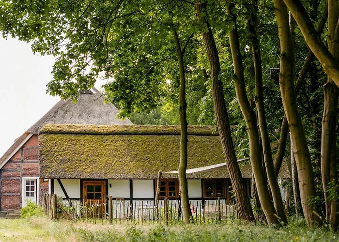 Romantic Nights Under The Thatched Roof Casa de Férias Scharnebeck